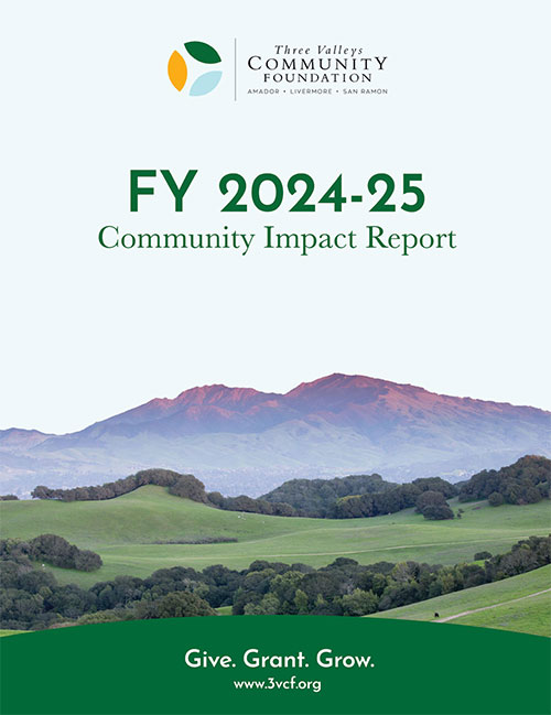 FY 2024-25 Impact Report
